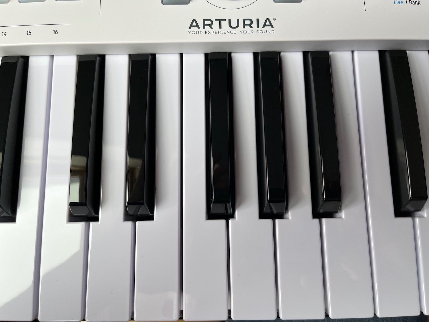 Arturia V-Collection 9 et Keylab le combo idéal ? 14 Le clavier de l'Arturia Keylab Essential 61