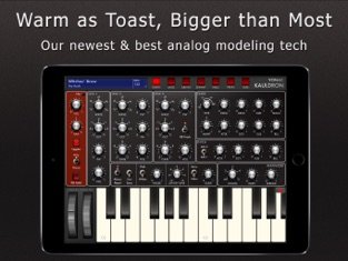 5 idées pour choisir son premier synthétiseur 13 Kauldron Yonac Ipad app capture