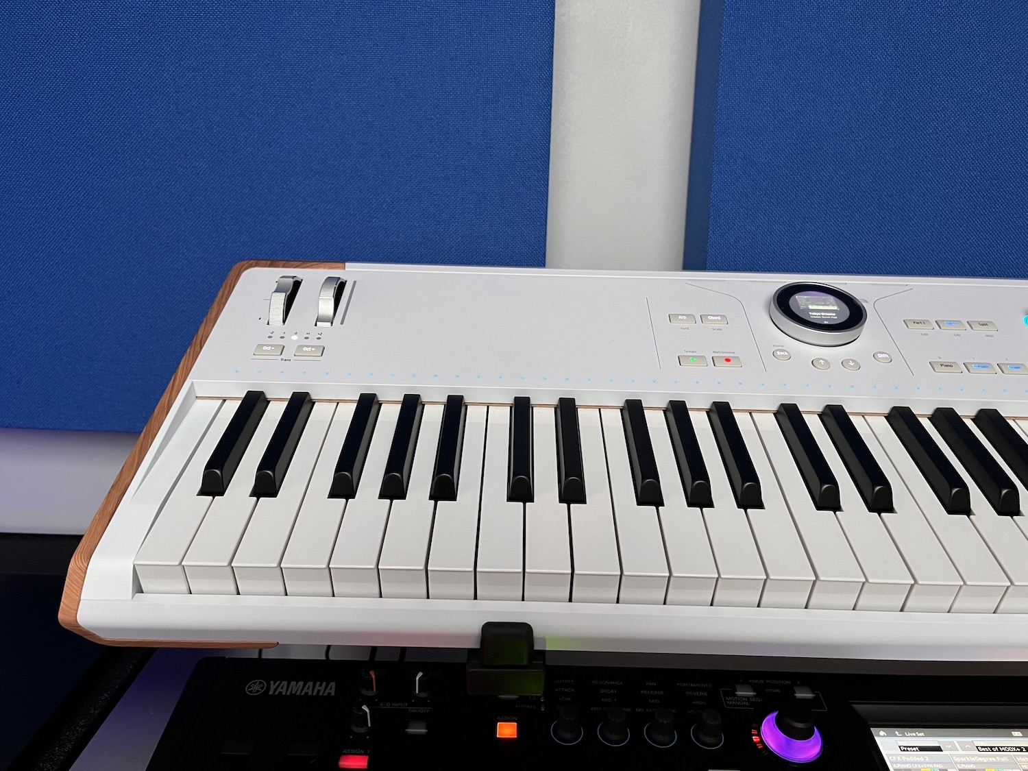 Arturia Astrolab le synthétiseur parfait pour le live ? 12 Le clavier de l'Arturia Astrolab